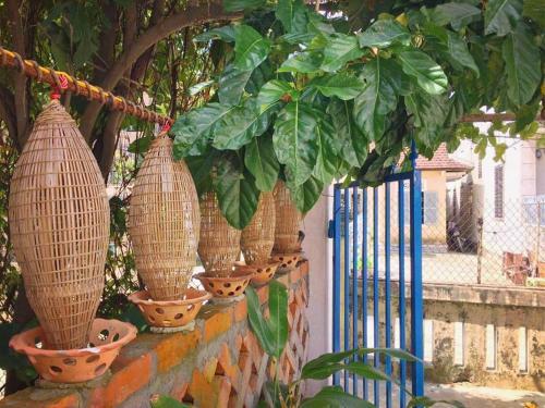 Хюэ: Kenvin Homestay