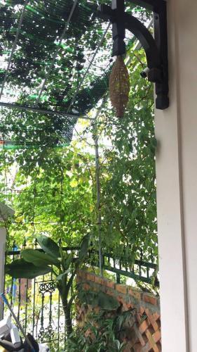 Хюэ: Kenvin Homestay