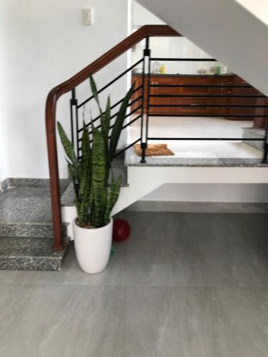 Хюэ: Kenvin Homestay