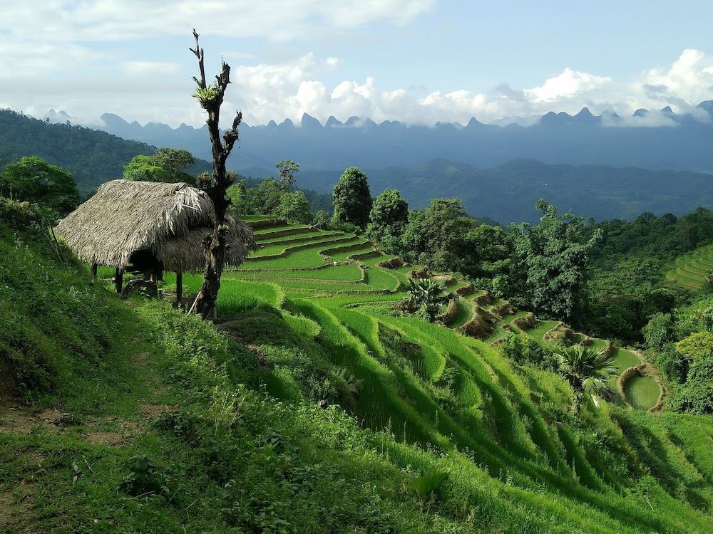 Маи-Чау: Puluong Home - Hostel
