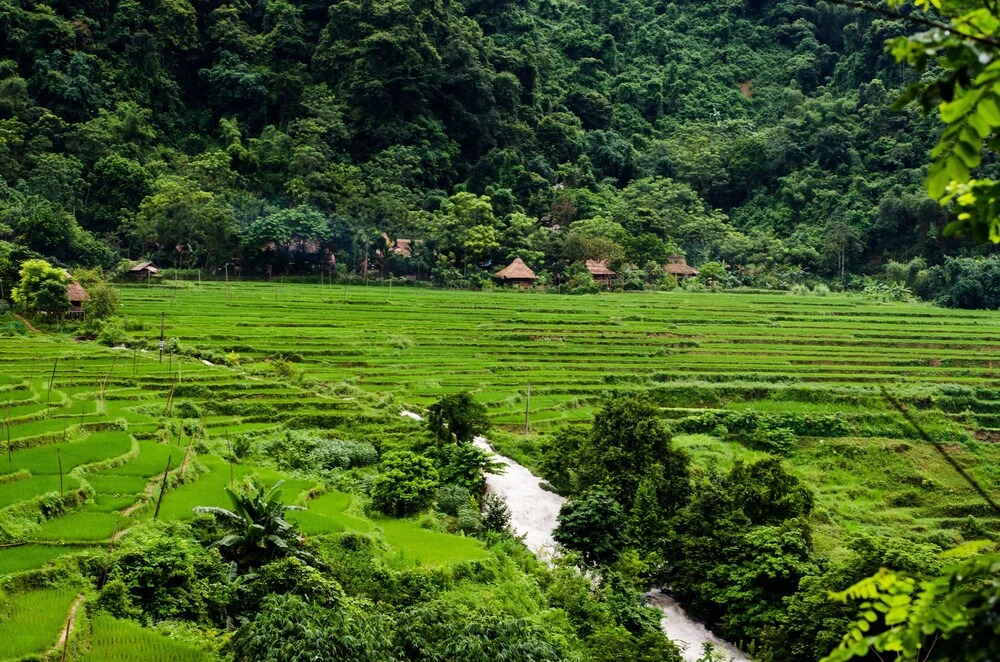 Маи-Чау: Pu Luong Nature Lodge 2 Hieu Village - Hostel