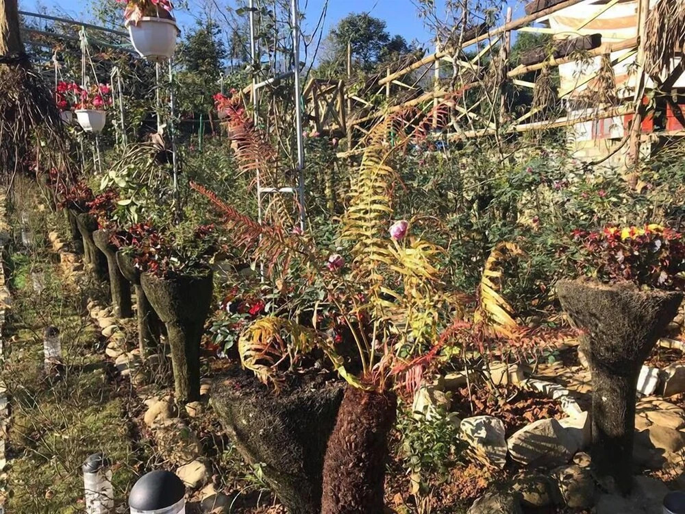 Лаокай: Homestay Vuon Hong Co