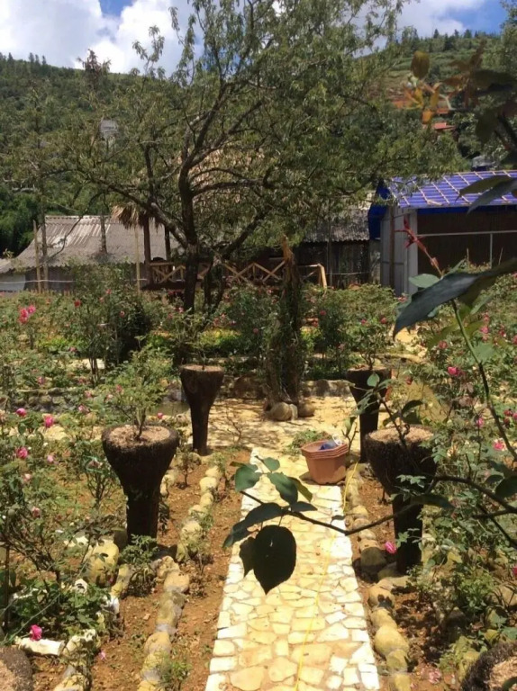 Лаокай: Homestay Vuon Hong Co