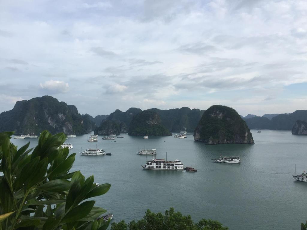 Халонг: Halong New Sun Hotel