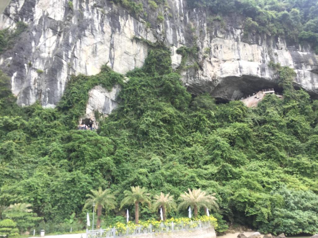 Халонг: Halong New Sun Hotel