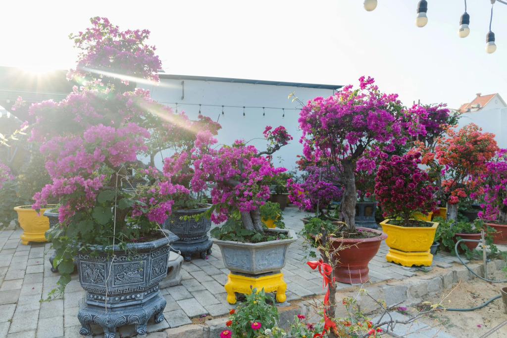 Фантхьет: Suoi TIen Hills Hotel
