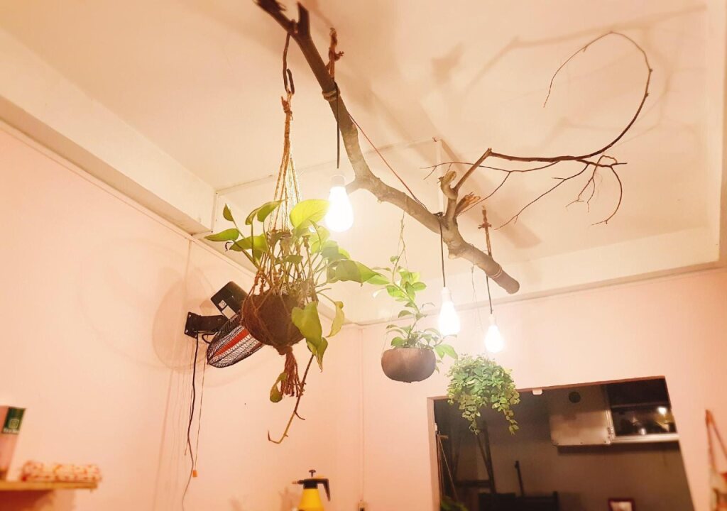 Кантхо: Mekong Backpacker Inn - Hostel