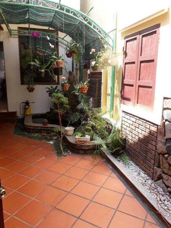 Хойан: Green Grapefruit Villa