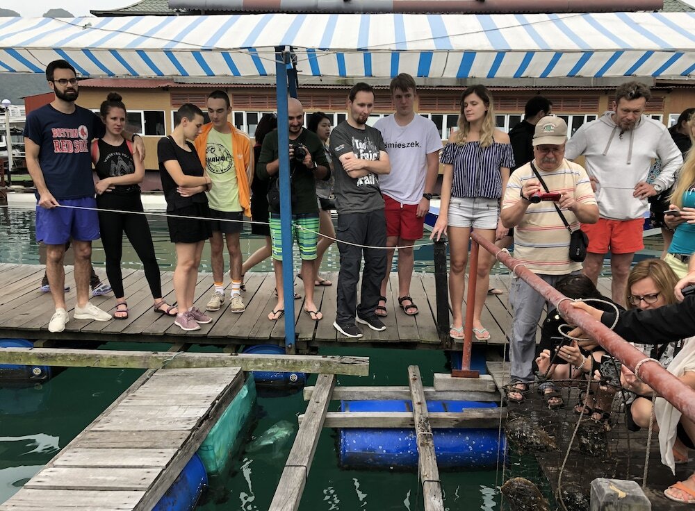 Халонг: Cozy Bay Classic Cruise
