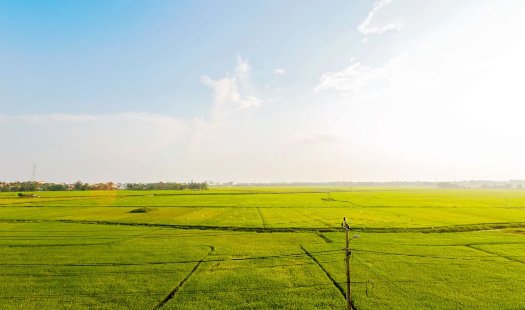 Хойан: Terrace Villa Hoi An