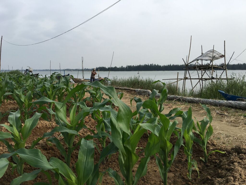 Хойан: Riverside Hamlet Homestay & Villas