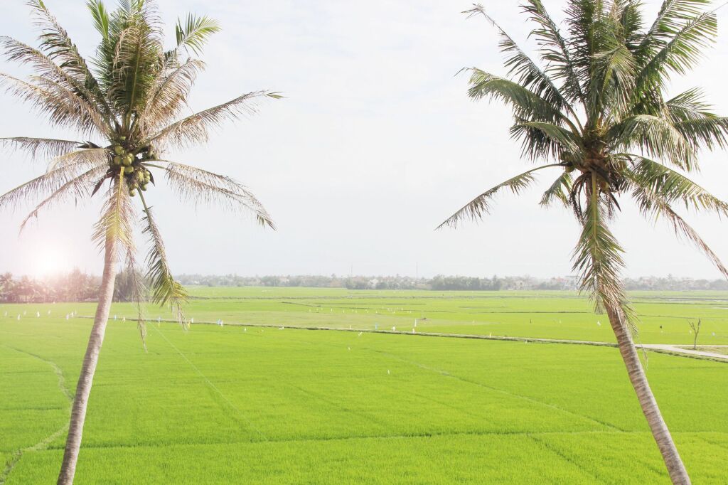 Хойан: Hoi An Four Season Villa