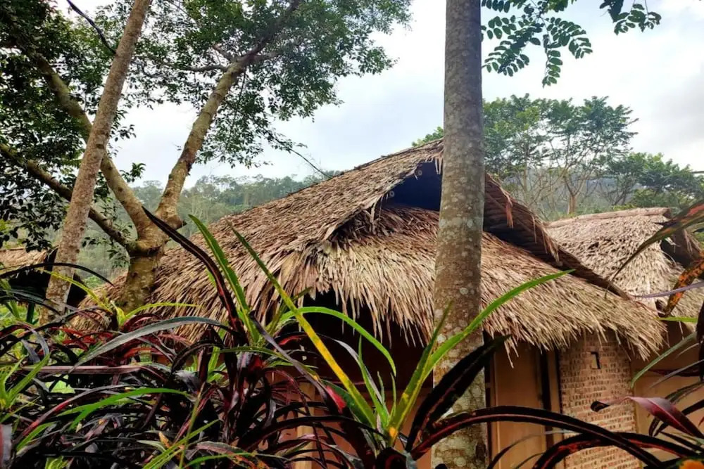 Маи-Чау: Pu Luong Homestay