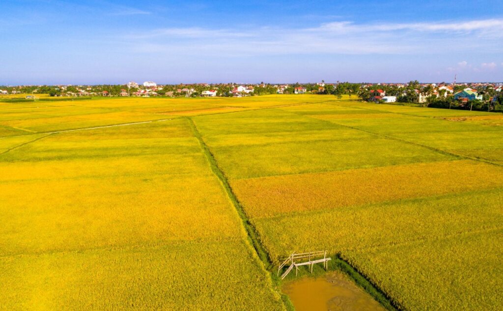 Хойан: Savanna Hoi An Villa