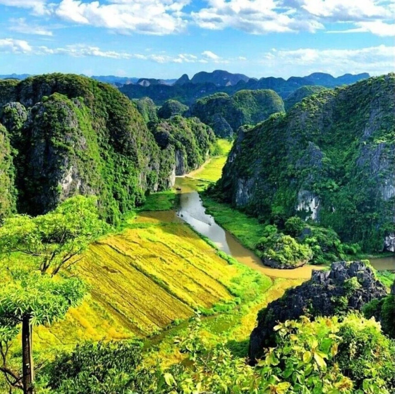 Хоа Лу: Tam Coc Rice Fields Homestay