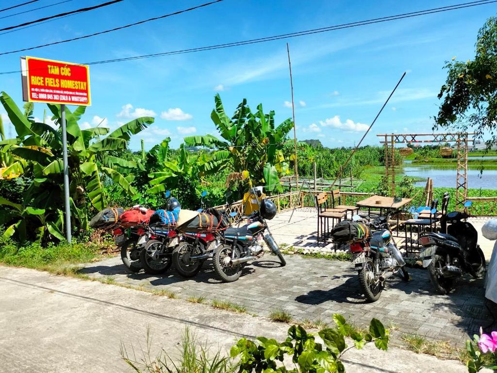 Хоа Лу: Tam Coc Rice Fields Homestay