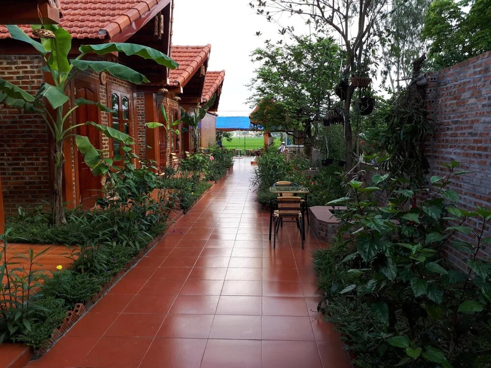 Хоа Лу: Tam Coc Rice Fields Homestay
