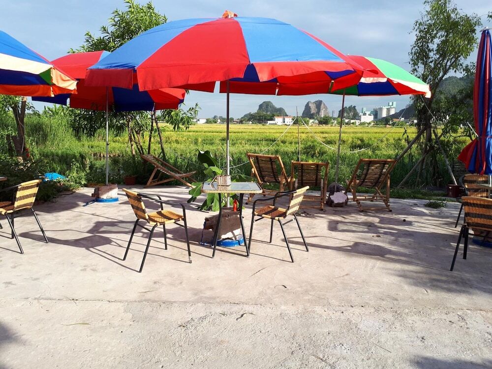 Хоа Лу: Tam Coc Rice Fields Homestay