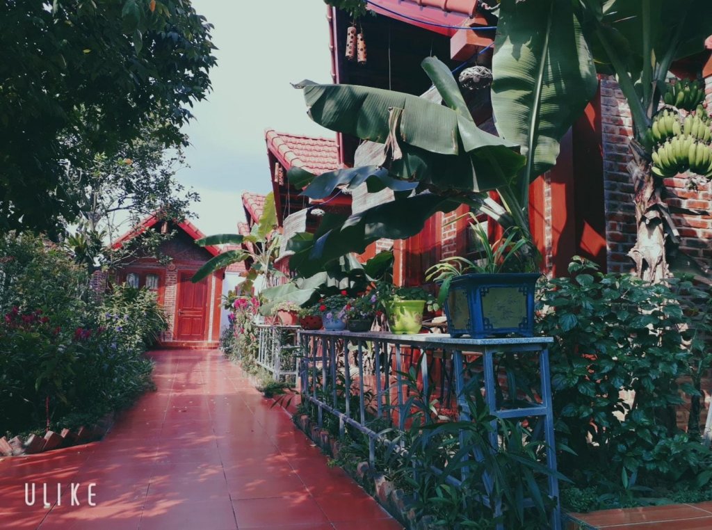 Хоа Лу: Tam Coc Rice Fields Homestay