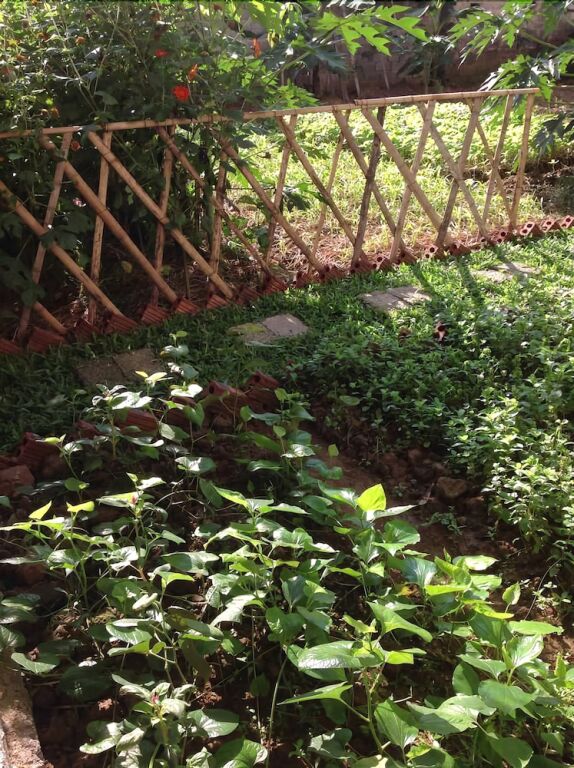 Хоа Лу: Tam Coc Eco House