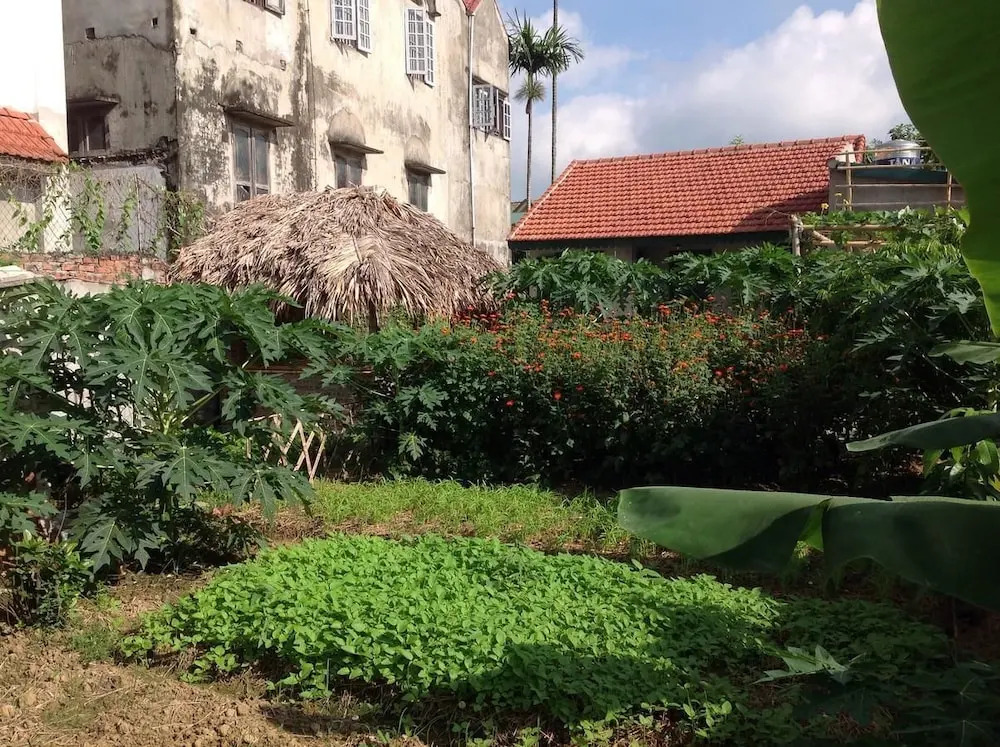 Хоа Лу: Tam Coc Eco House