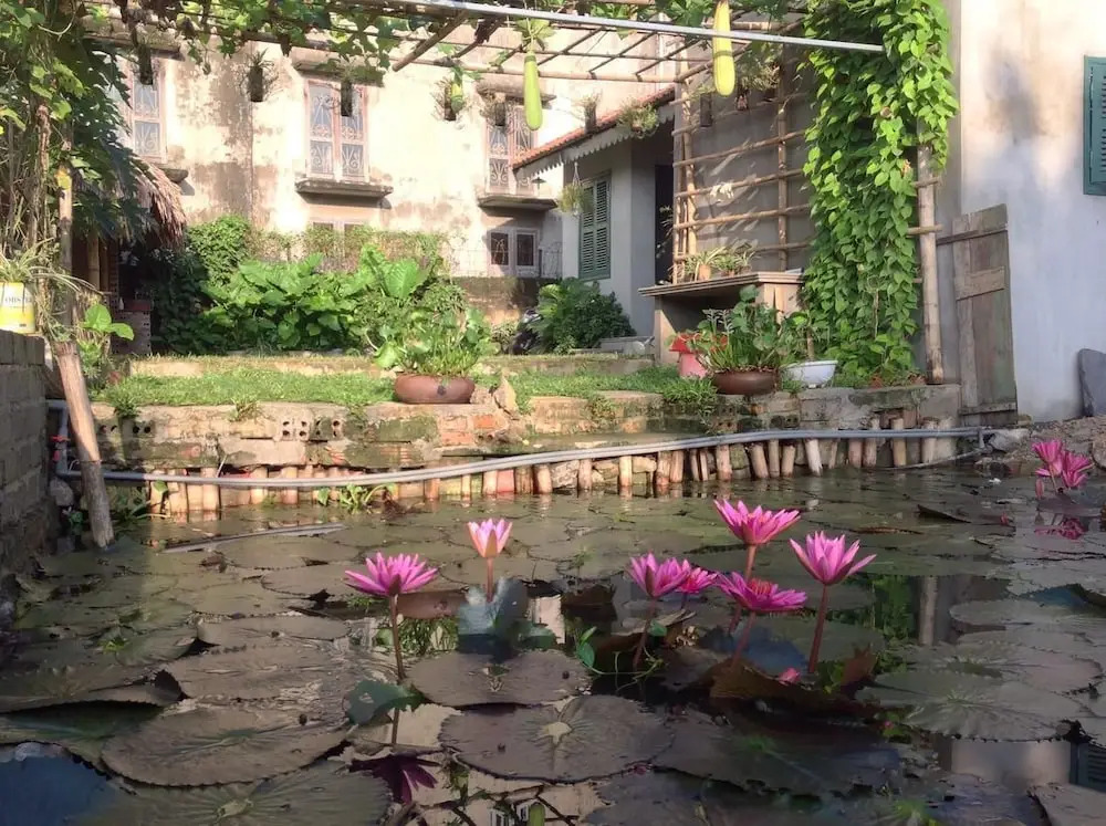Хоа Лу: Tam Coc Eco House