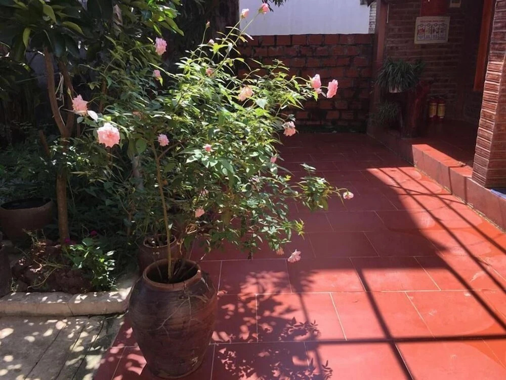 Зявьен: Van Long Family Homestay