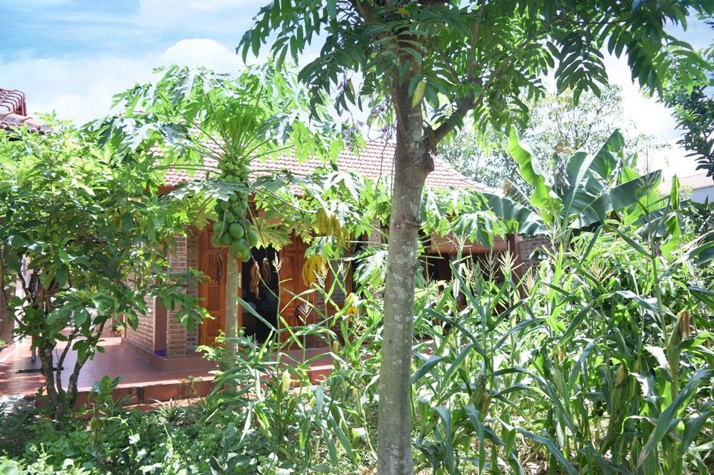 Зявьен: Van Long Family Homestay