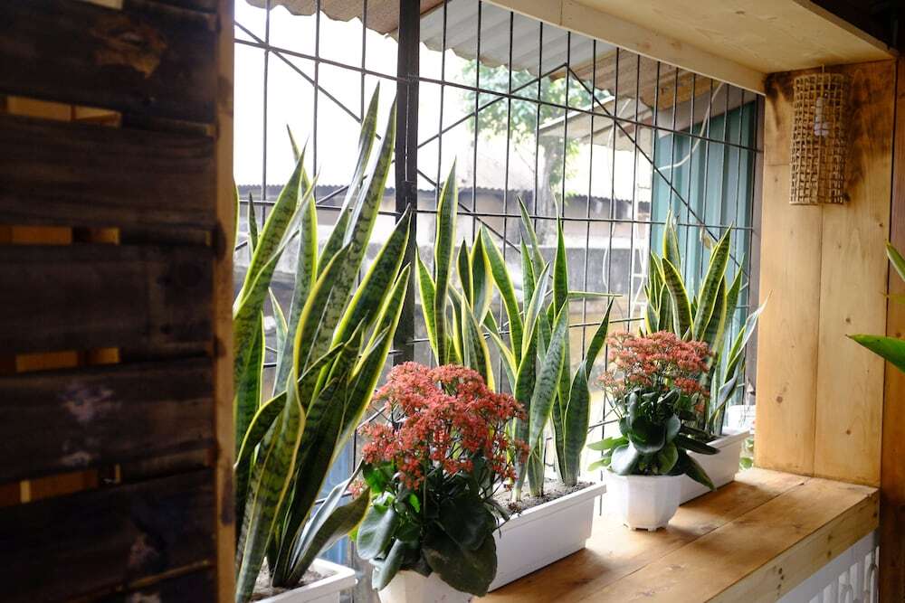 Ханой: A Green Home