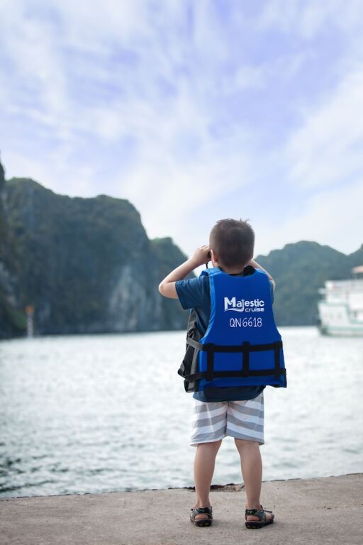 Халонг: Halong Majestic Legend Cruise