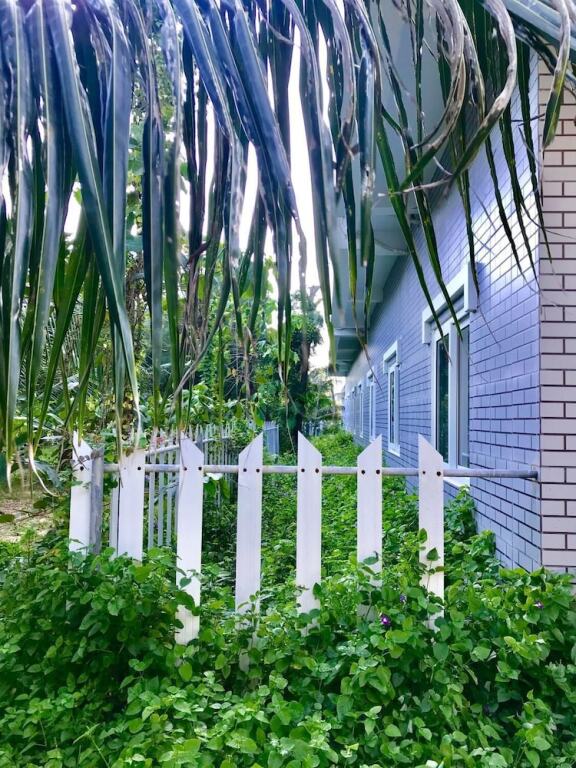 Датдо: Oceanward Hotels & Resorts