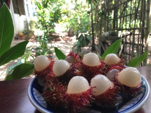 Митхо: Jardin Du Mekong Homestay