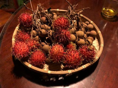 Митхо: Jardin Du Mekong Homestay