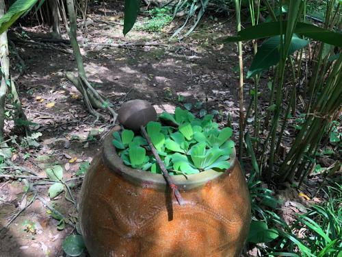 Митхо: Jardin Du Mekong Homestay