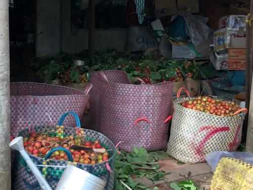 Митхо: Jardin Du Mekong Homestay