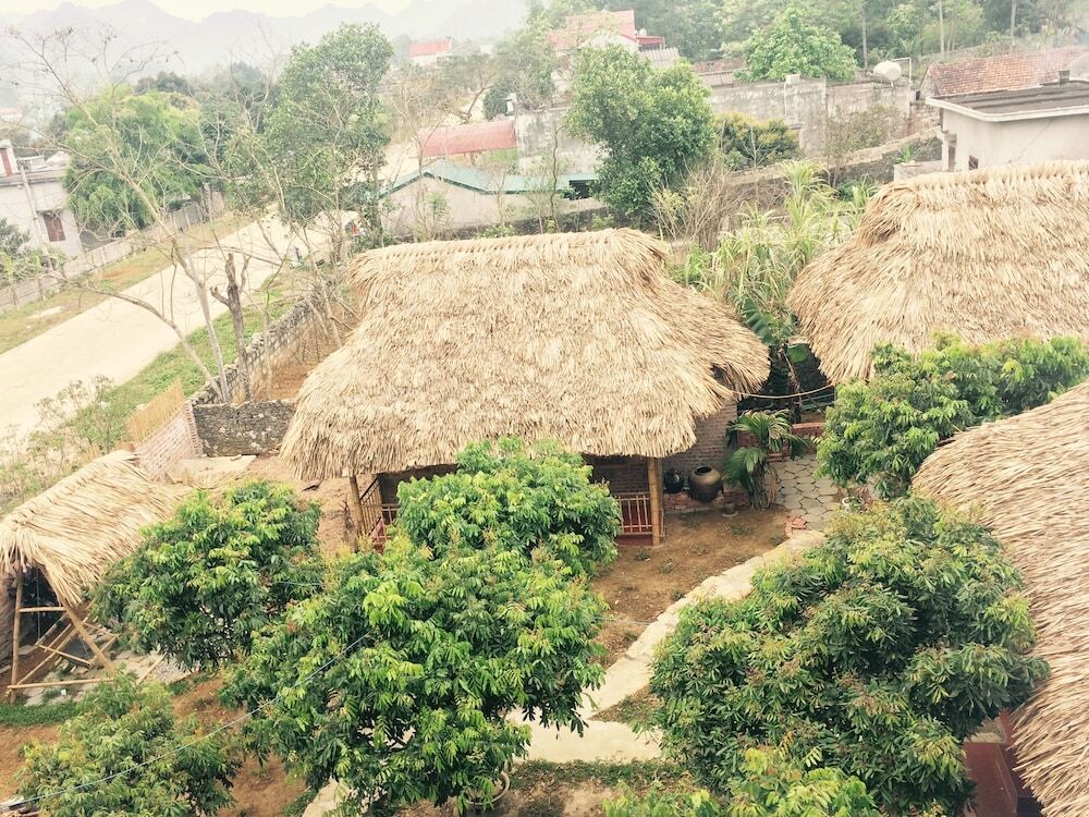 Зявьен: Ninh Binh bamboo