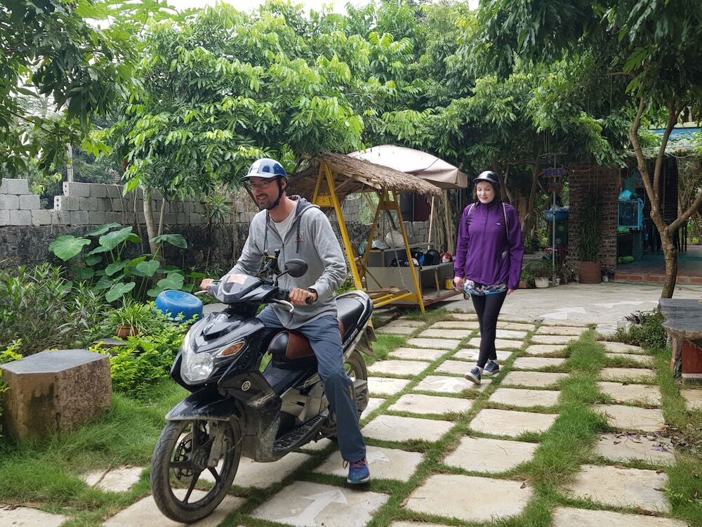 Зявьен: Ninh Binh bamboo