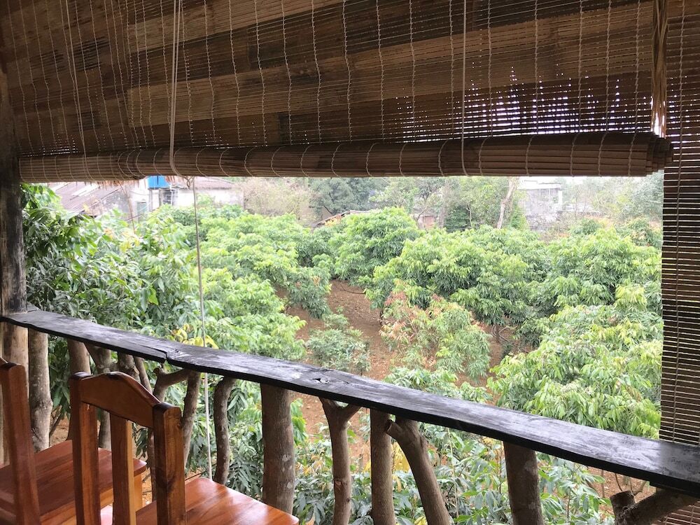 Зявьен: Ninh Binh bamboo