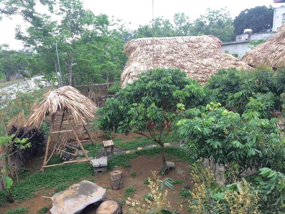 Зявьен: Ninh Binh bamboo