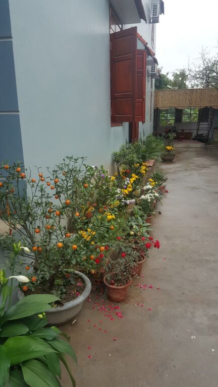 Хоа Лу: Tam Coc Tuan Minh Homestay