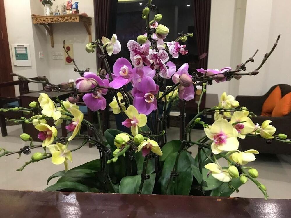 Бакнинь: Ninh Phong Hotel
