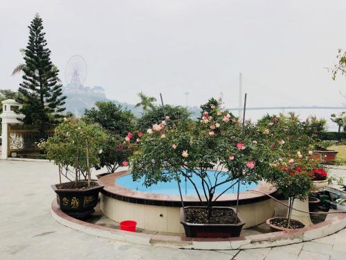 Халонг: Anh Duong Hotel and Spa