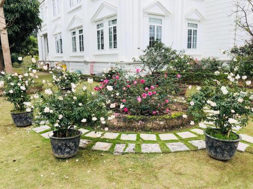 Халонг: Anh Duong Hotel and Spa