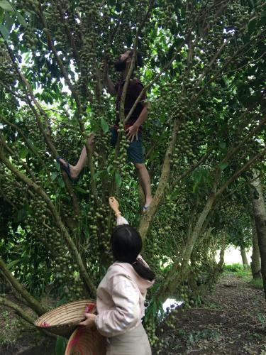 Кантхо: Gingo Hostel Can Tho