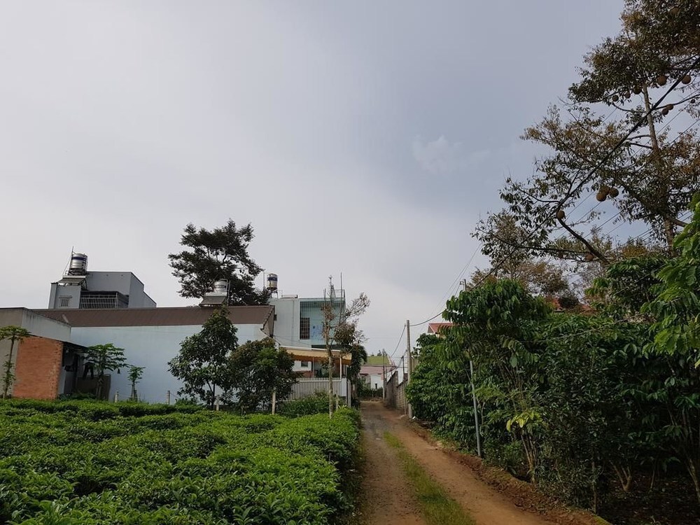 Да-Хуоай: Friendly Homestay Bao Loc