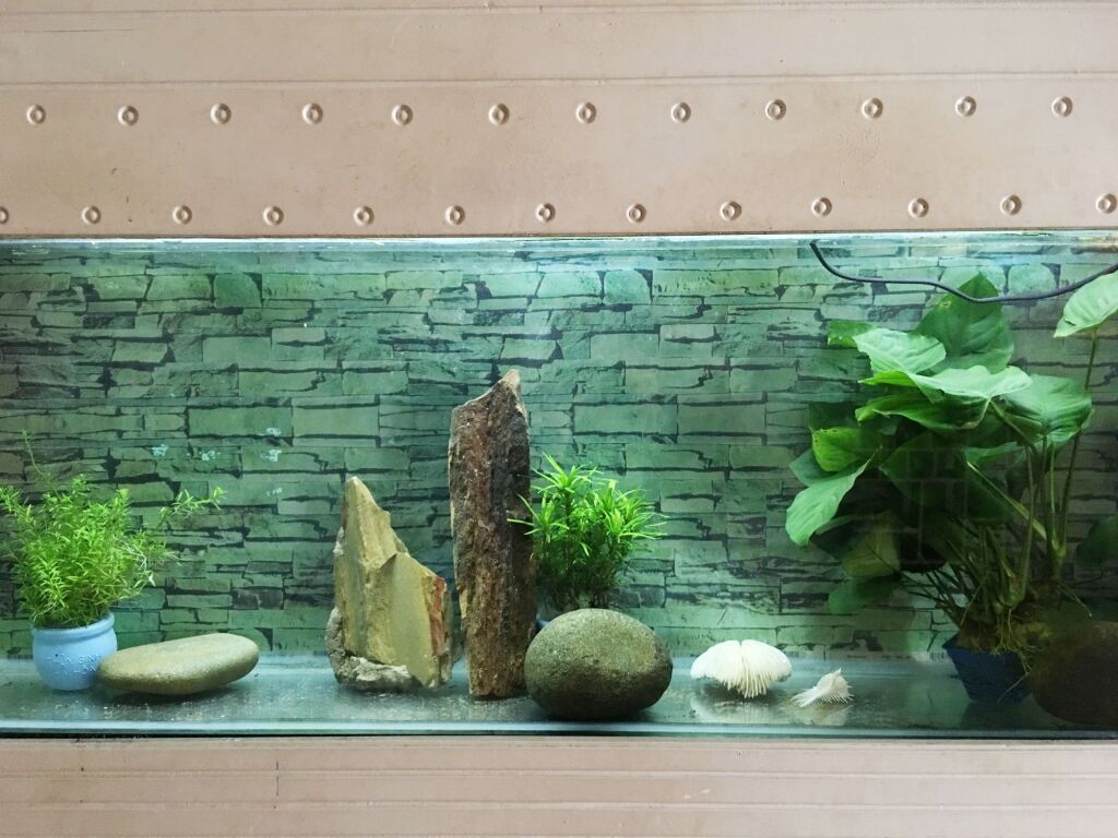 Дананг: Ha My Guesthouse