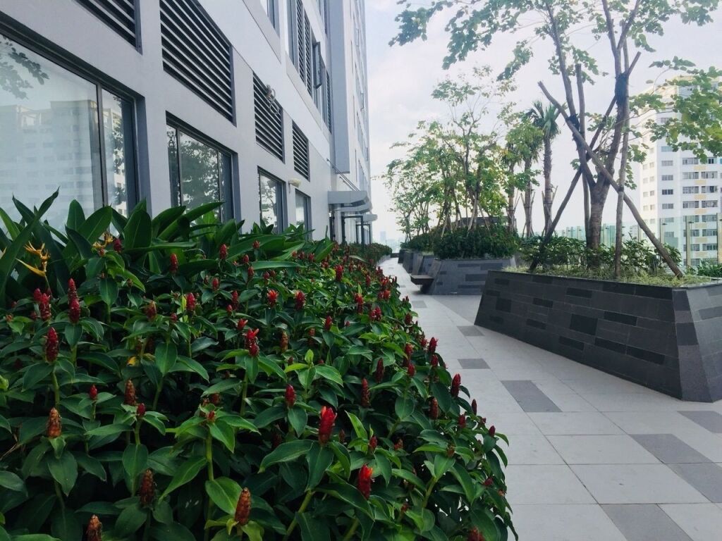 Хошимин: Andinh Apartment
