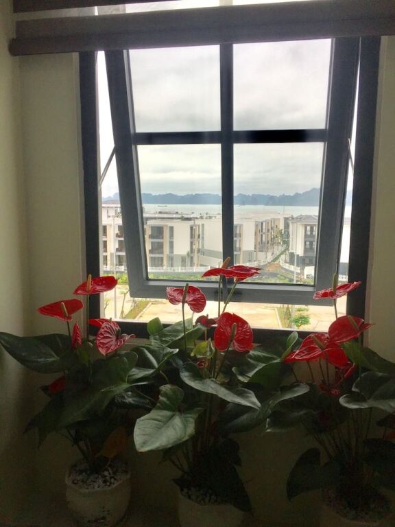 Халонг: May House Hotel
