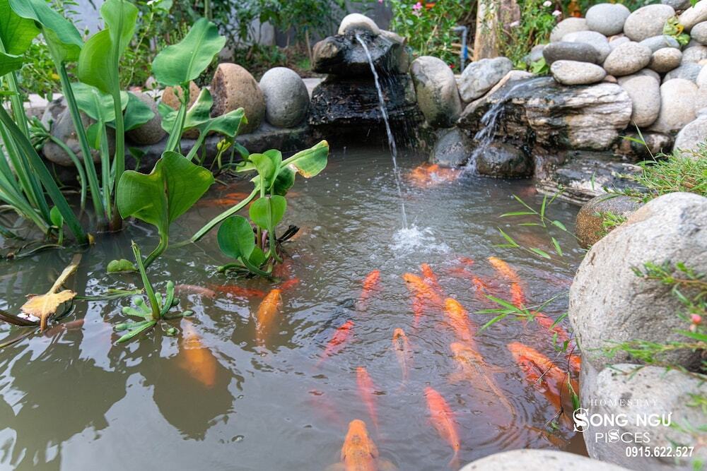 Кантхо: Homestay Songngu Pisces