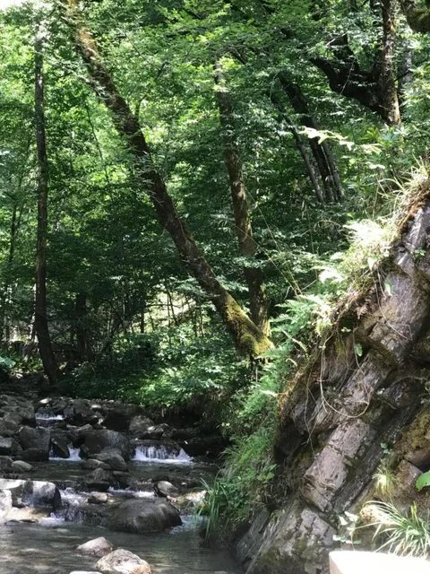 Красная Поляна: Мини-отель ECO-Hause Kastana